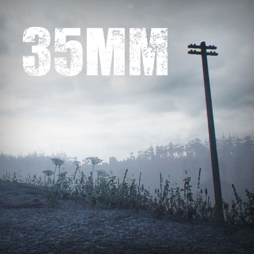35MM (2016/PC/Русский), Лицензия